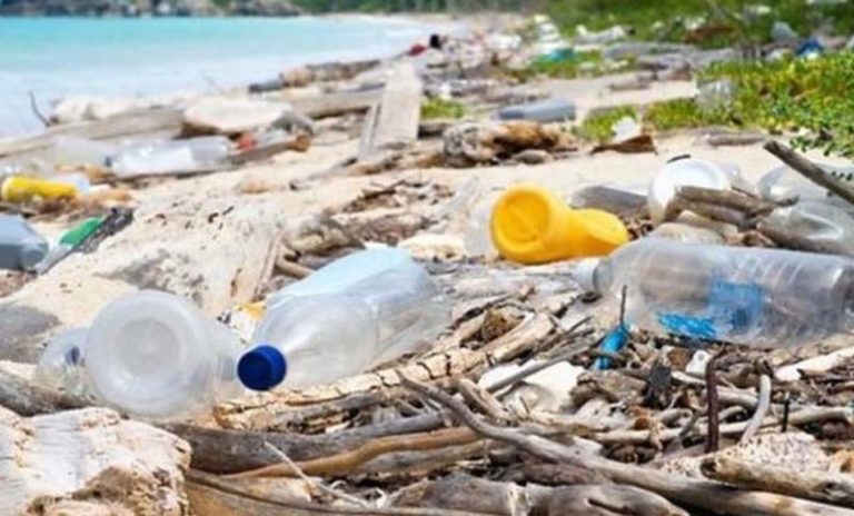 পৃথিবী দ্রুতই পরিণত হচ্ছে 'প্লাস্টিকের তৈরি গ্রহে'