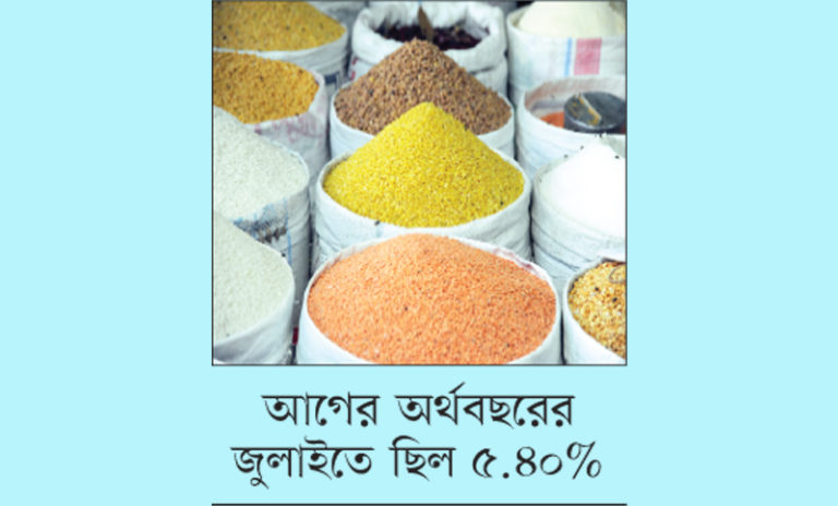 চলতি অর্থবছরের প্রথম মাসে সারা দেশে নিত্যপ্রয়োজনীয় পণ্যের দাম বেড়েছে