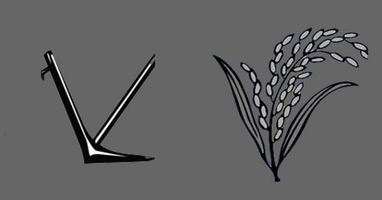 লাঙ্গল ও ধানের শীষে জিতলেন যাঁরা