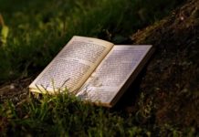 কিছু জার্মান বই যা আপনার অবশ্যই পড়া উচিত কিছু জার্মান বই যা আপনার অবশ্যই পড়া উচিত