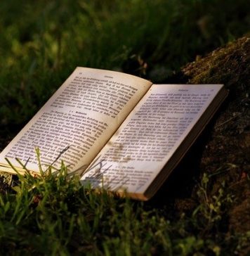 কিছু জার্মান বই যা আপনার অবশ্যই পড়া উচিত কিছু জার্মান বই যা আপনার অবশ্যই পড়া উচিত