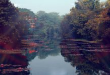 Discovering the Beauty of Bangladesh Discovering the Beauty of Bangladesh