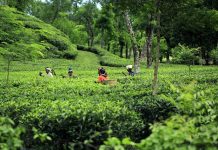 Welcome to Bangladesh: Your Visa Essentials and Smooth Travel Guide Bangladesh travel guide